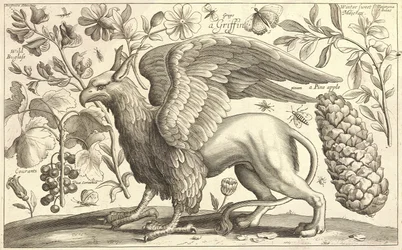 A Griffin